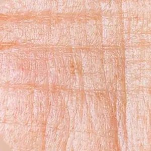 Skincare for Fine Lines + Wrinkles